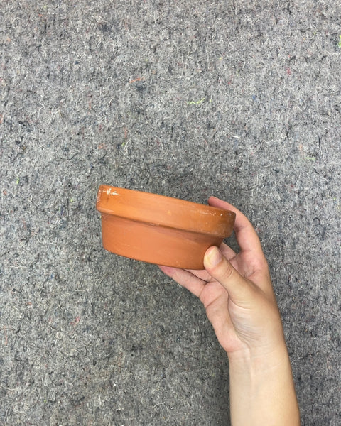 Terracotta Clay Plant Pot, 5 x 2 in