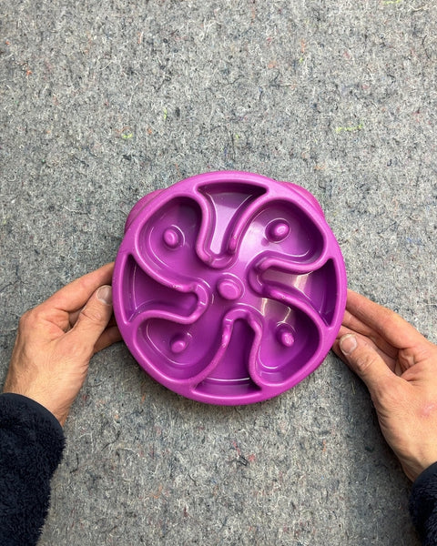 Purple Slow Feeder Pet Bowl