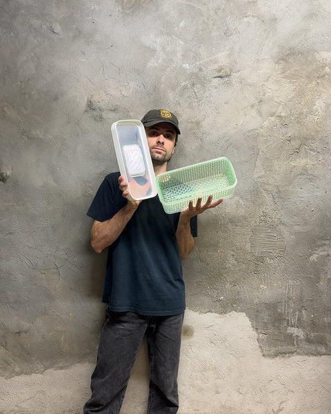OXO GreenSaver Produce Keeper