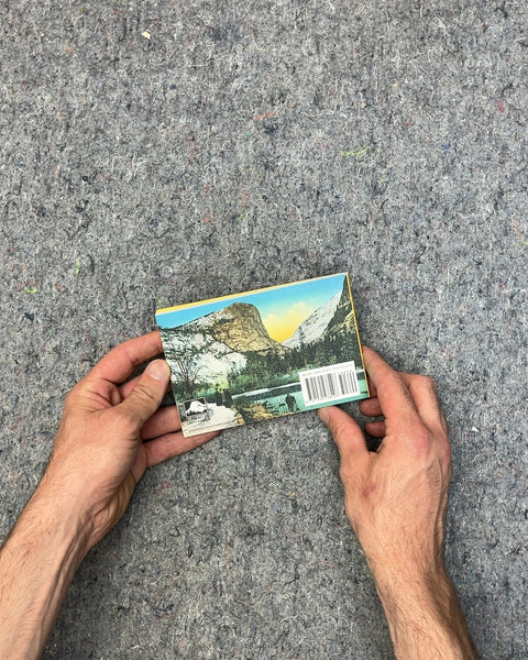 Souvenir Views Historic Yosemite Postcard Book