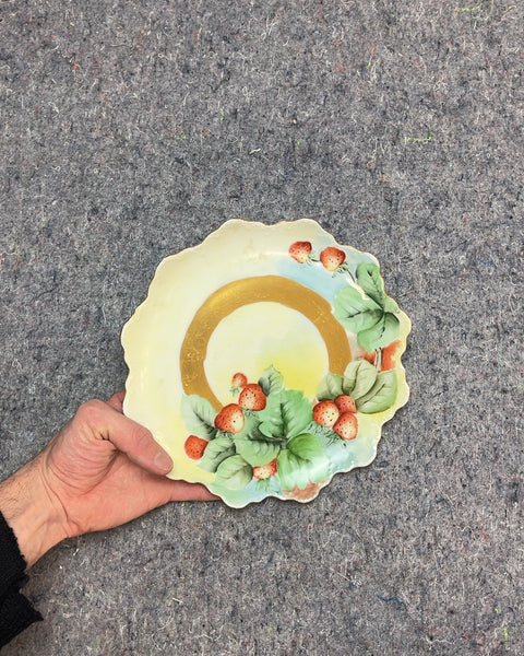 Super Vintage Bavaria Porcelain Strawberry Decorative Plate