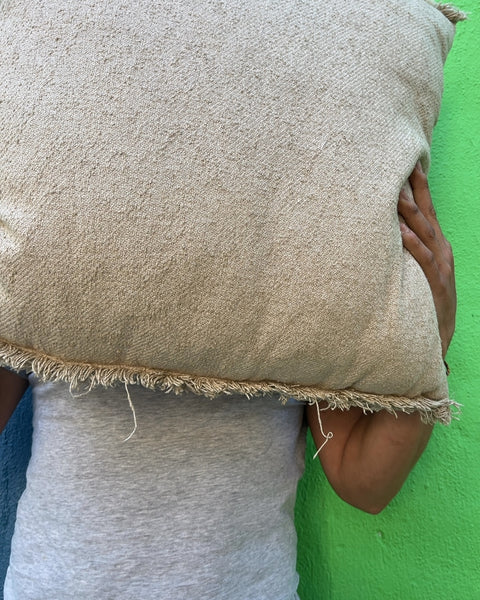Textured Throw Pillow with Fringed Edges, 22x22"