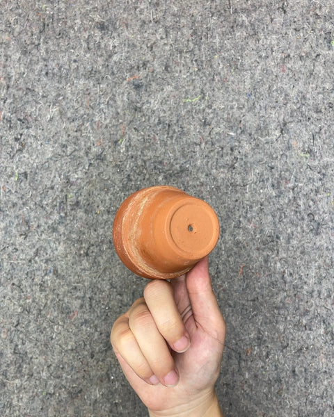 Terracotta Clay Planter Pot, 2.5in
