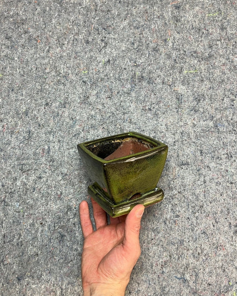 Green Glazed Ceramic Bonsai Pot, 4x4"
