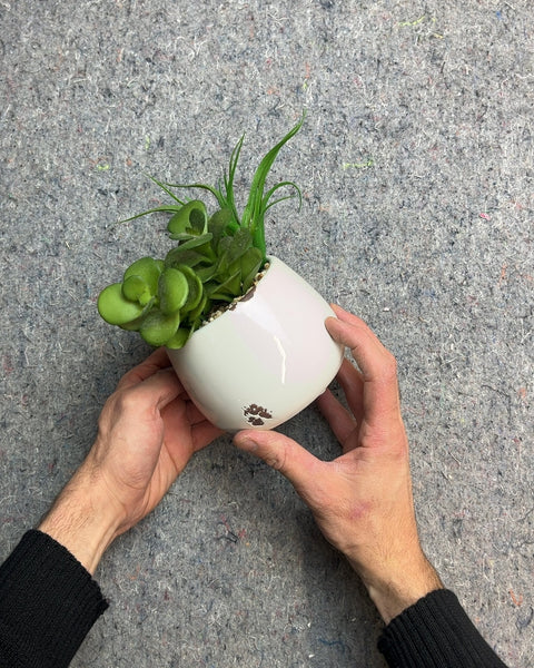 Faux Succulent Arrangement in Ceramic Pot