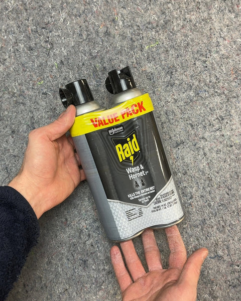 Raid Wasp & Hornet Killer, 2-Pack