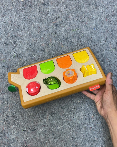 Fisher-Price Pop-Up Toy