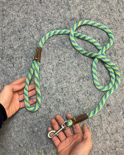 Cool Rope Dog Leash, 60"