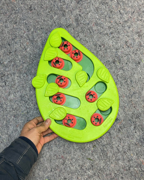 Nina Ottosson Dog Smart Puzzle Toy