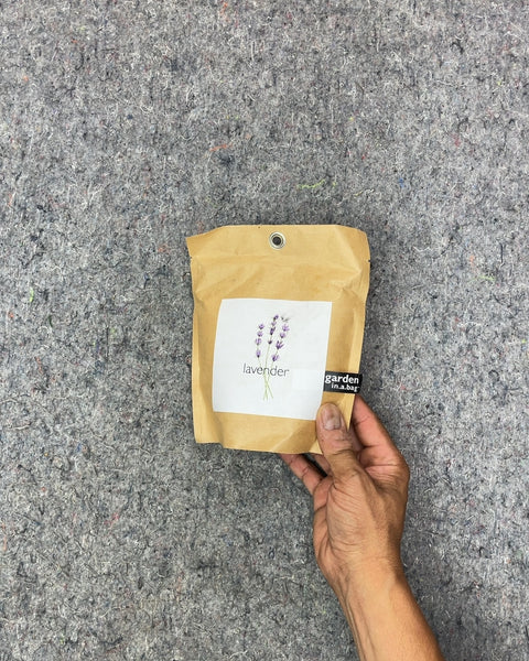Garden Republic Lavender Seed Kit