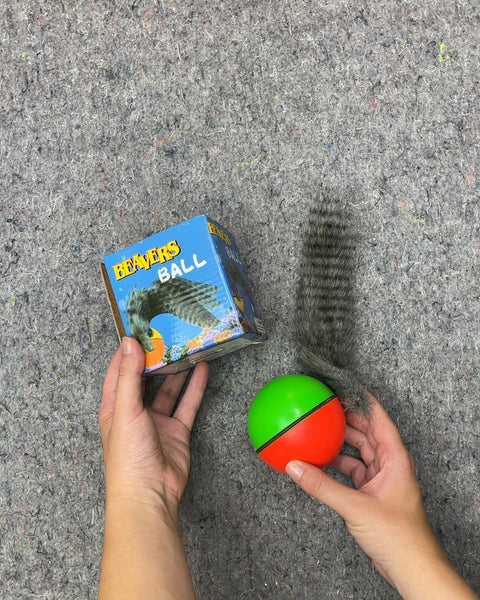 Beavers Ball Pet Toy