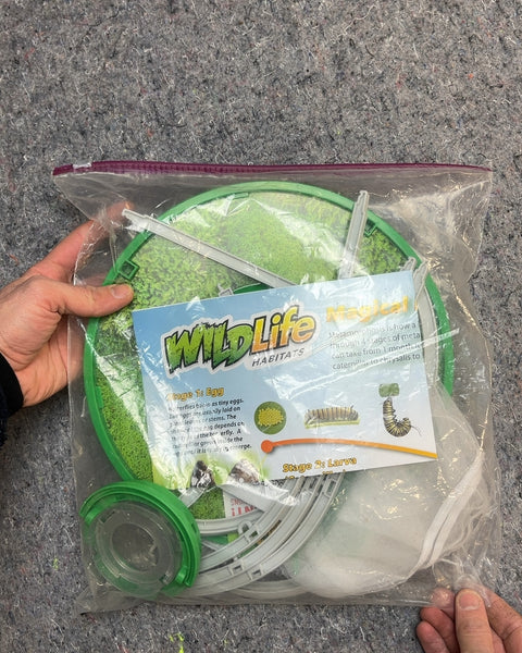 Wildlife Habitats Butterfly Growing Kit