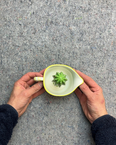 Cactus Lemon Juicer